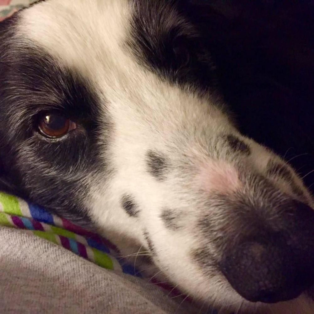 Meet your Posher, Christine